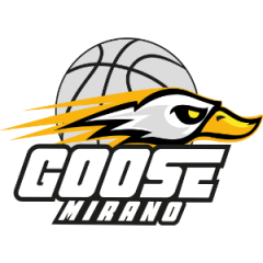Goose Basket Mirano