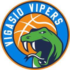 Vigasio Vipers