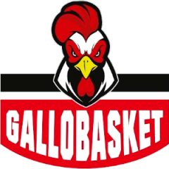 Logo G.S. Gallo Basket