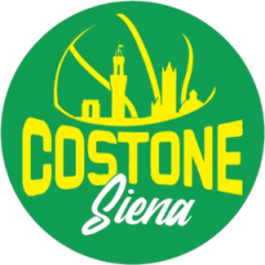 Logo Costone Siena sq.B