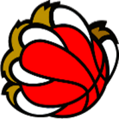 Logo New Basket Salò