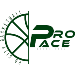 Pro Pace CRM Mortise