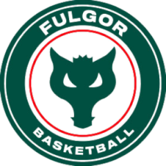 Logo Fulgor Omegna