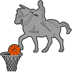 Logo Pallacanestro Gattamelata