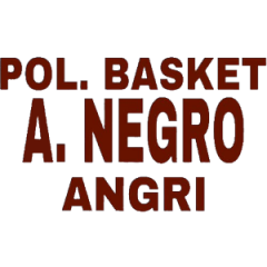 Logo Alfonso Negro Angri