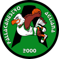 Logo Pall. Agliana 2000