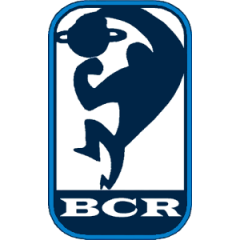 Logo Basket Club Russi