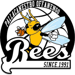 Logo Offanengo Bees