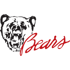 Logo Bears Spinea