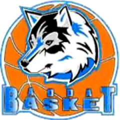 Logo Adda Basket