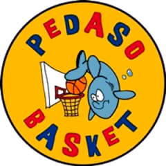 Logo Pedaso Basket