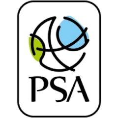 Logo PSA Antimo