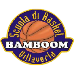 Logo Basket Villaverla
