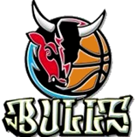 Logo Bulls Bari