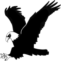 Logo Black Eagles Roma