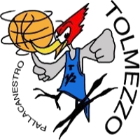 Logo Pall. Tolmezzo