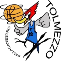 Logo Pallacanestro Tolmezzo sq.B