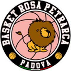 Logo Basket Rosa