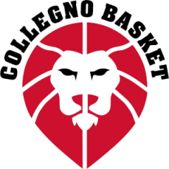 Logo Collegno Basket sq.B