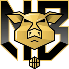 Logo Nubilaria Basket Novellara