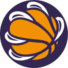 Logo Raptors Mestrino