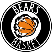 Logo Bears Isola 91 A