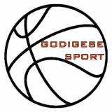 Logo Godigese Sport