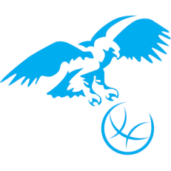 Logo Godigese Sport