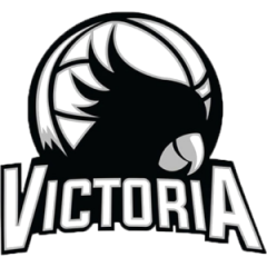 Logo Victoria Pallacanestro Torino