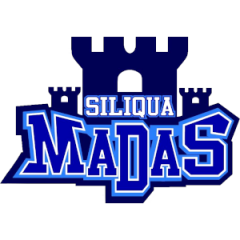 Logo Basket Siliqua