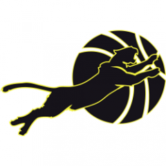 Logo Basket Ghepard 2003