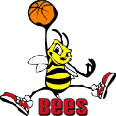 Logo Bees BPJ Pesaro