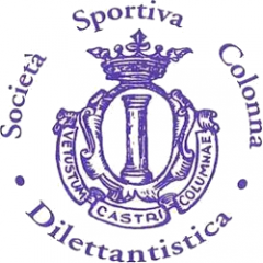 Logo Basket Colonna