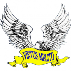 Logo Virtus Melito