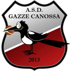 Logo Canossa Basket 2013