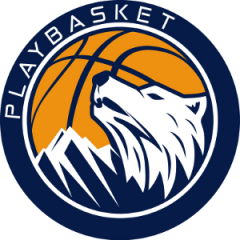 Logo Playbasket Carrè