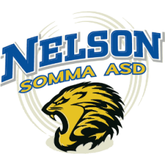 Logo Nelson Somma