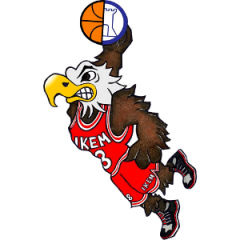 Logo Pallacanestro Baseka