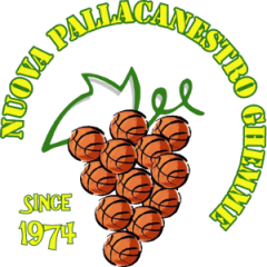 Logo Nuova Pallacanestro Ghemme