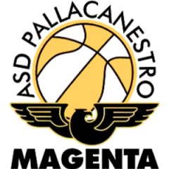 Logo Basket Magenta