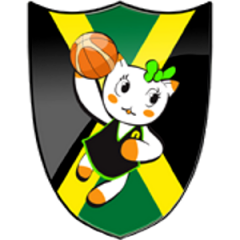 Logo Noi Basket Golosine