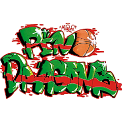 Logo CMB Pino Dragons Firenze