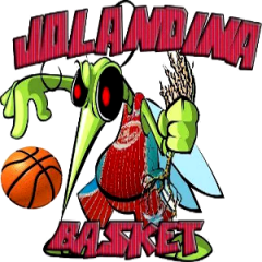 Logo Jolandina Basket
