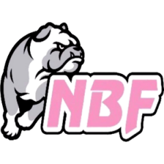 Logo Nico Basket Femminile