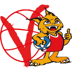 Logo Virtus Vicenza