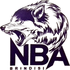 Logo New Basket Academy Brindisi