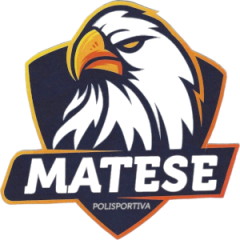 Logo Pallacanestro Piedimonte Matese