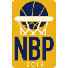 Logo New Basket Palagiano