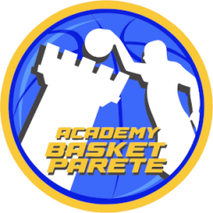 Logo Academy Basket Parete