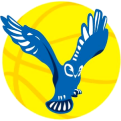 Logo Basket Spinea